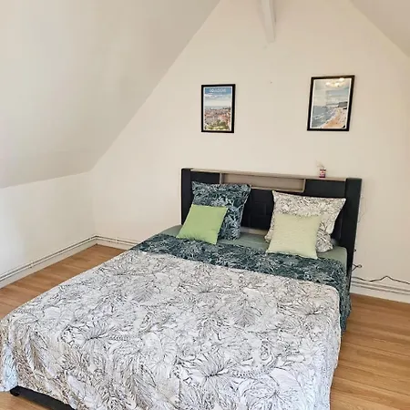 Appartement Maisonnette En Duplex Avec Jardin-babyfoot Et Billard