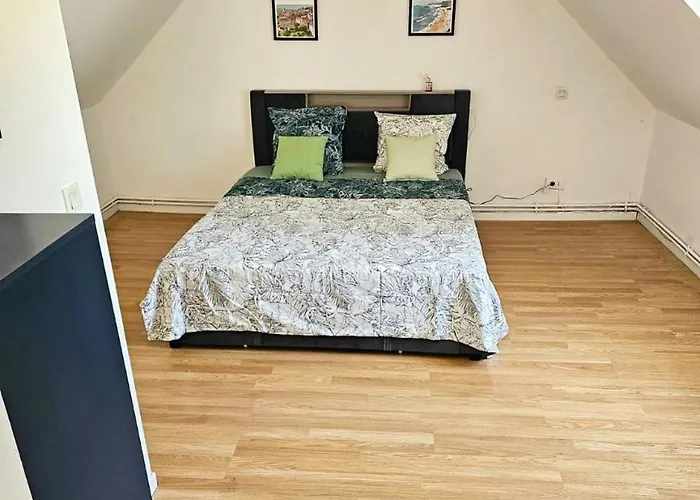 Апартаменты Maisonnette En Duplex Avec Jardin-babyfoot Et Billard
